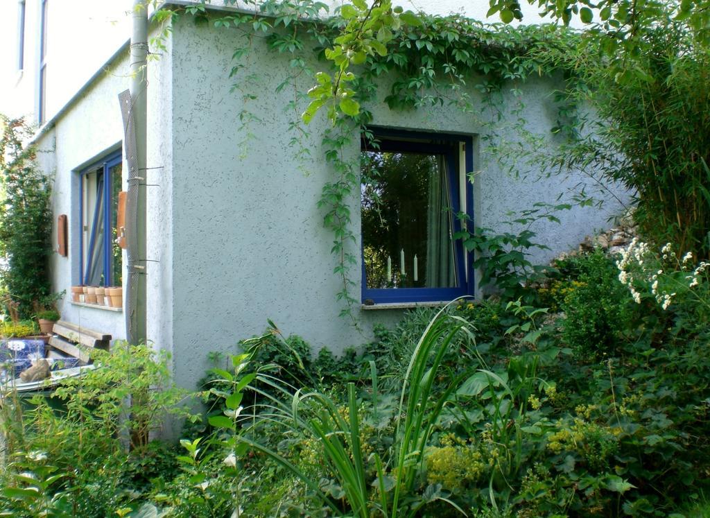 Ferienwohnung Hering In Dill ห้อง รูปภาพ