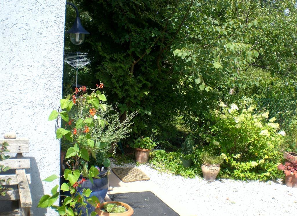 Ferienwohnung Hering In Dill ห้อง รูปภาพ