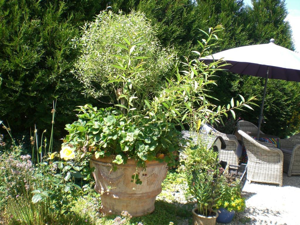 Ferienwohnung Hering In Dill ห้อง รูปภาพ